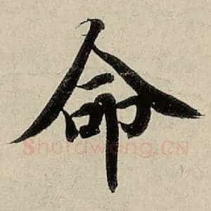 命
