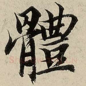 体