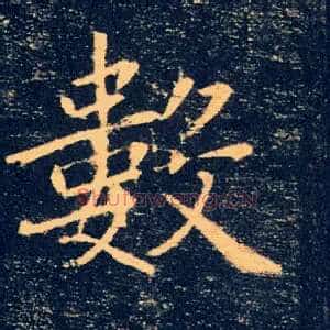 數