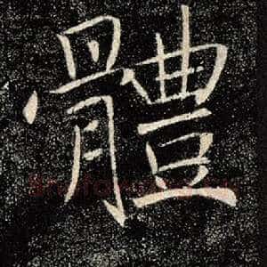 体