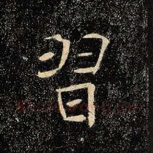 习