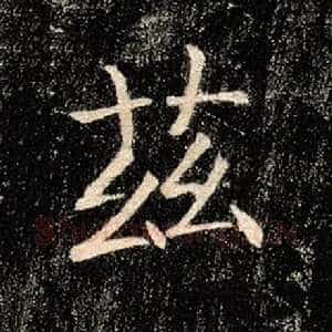 兹