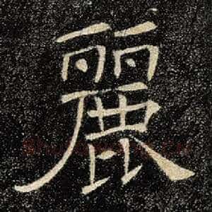 丽