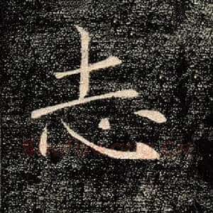 志