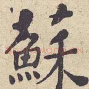 蘇