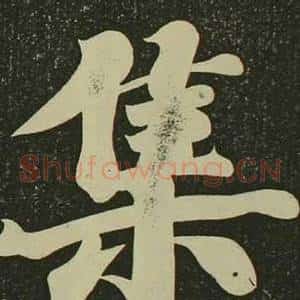 集