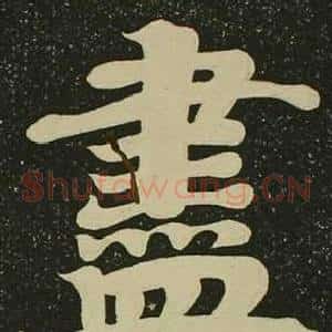 盡