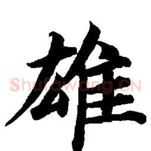 雄