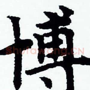 博
