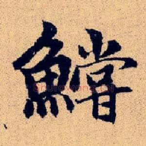鱨