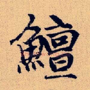 鱣