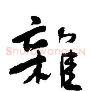 杂