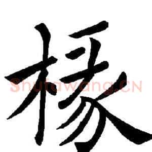 椽