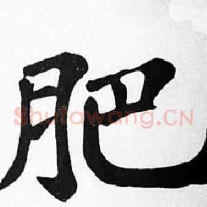 肥