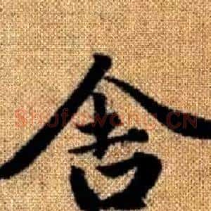 舍