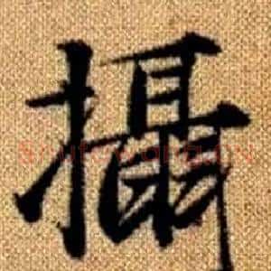 攝