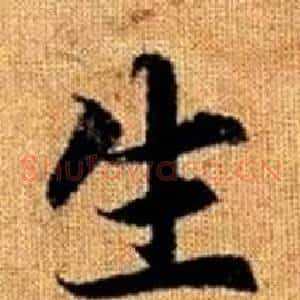 生