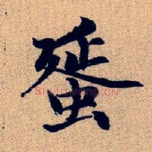 蜑