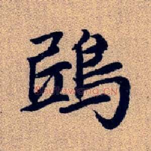 鴟