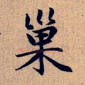 巢