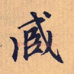 臧