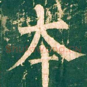 本