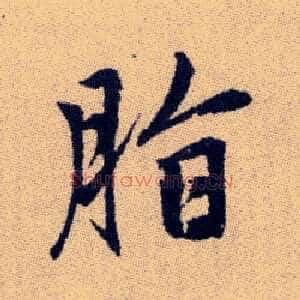 脂