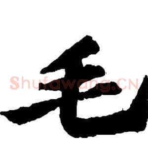 毛