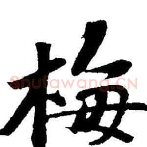 梅