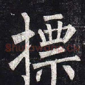 摽