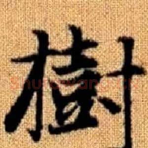 樹