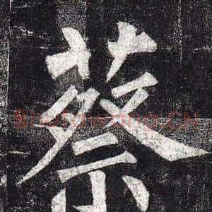 蔡