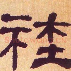 社