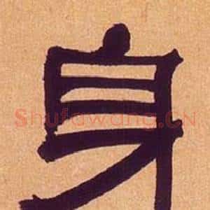 身