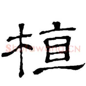 植