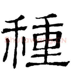 种