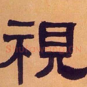 視