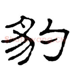 豹