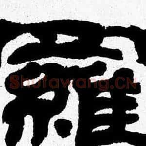 羅