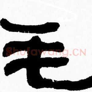 毛
