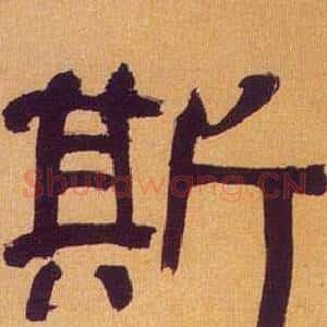 斯