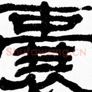 囊