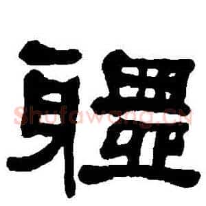 體