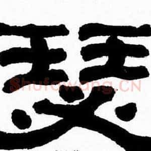 瑟