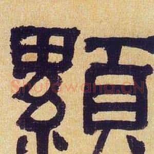 顯