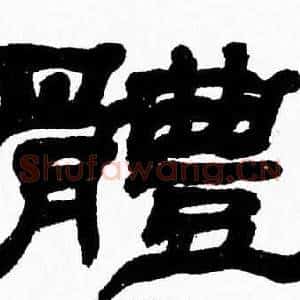 體