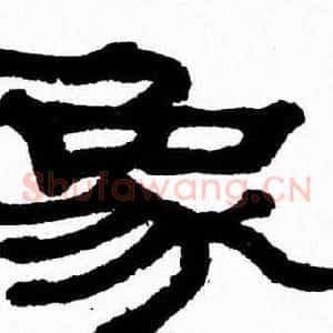 象