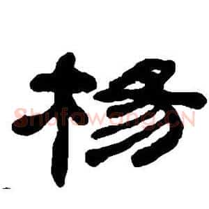 杨