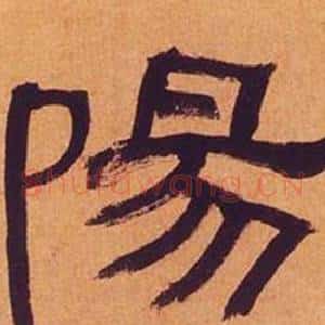 陽