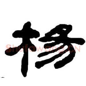 楊
